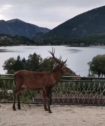 Affittacamere Bellavista - Sul Di *